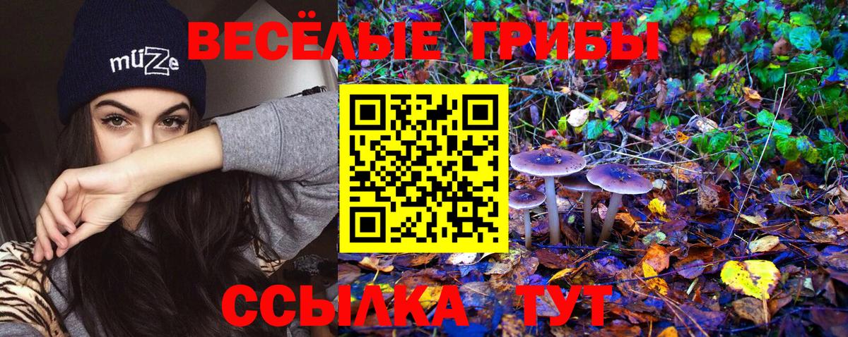Галлюциногенные грибы Psilocybe  Псилоцибиновые грибы прущие грибы  Нижний Тагил  Вход с VPN 